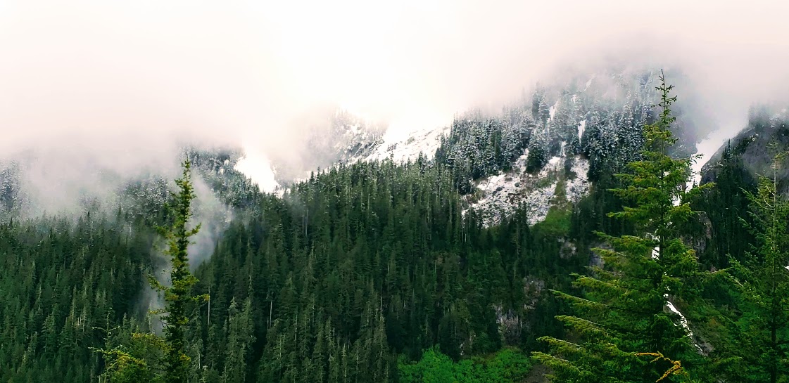 6 Facts – Mount Rainier National Park