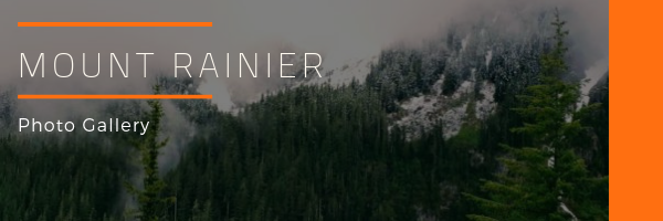 Mount Rainier National Park Photo Gallery
