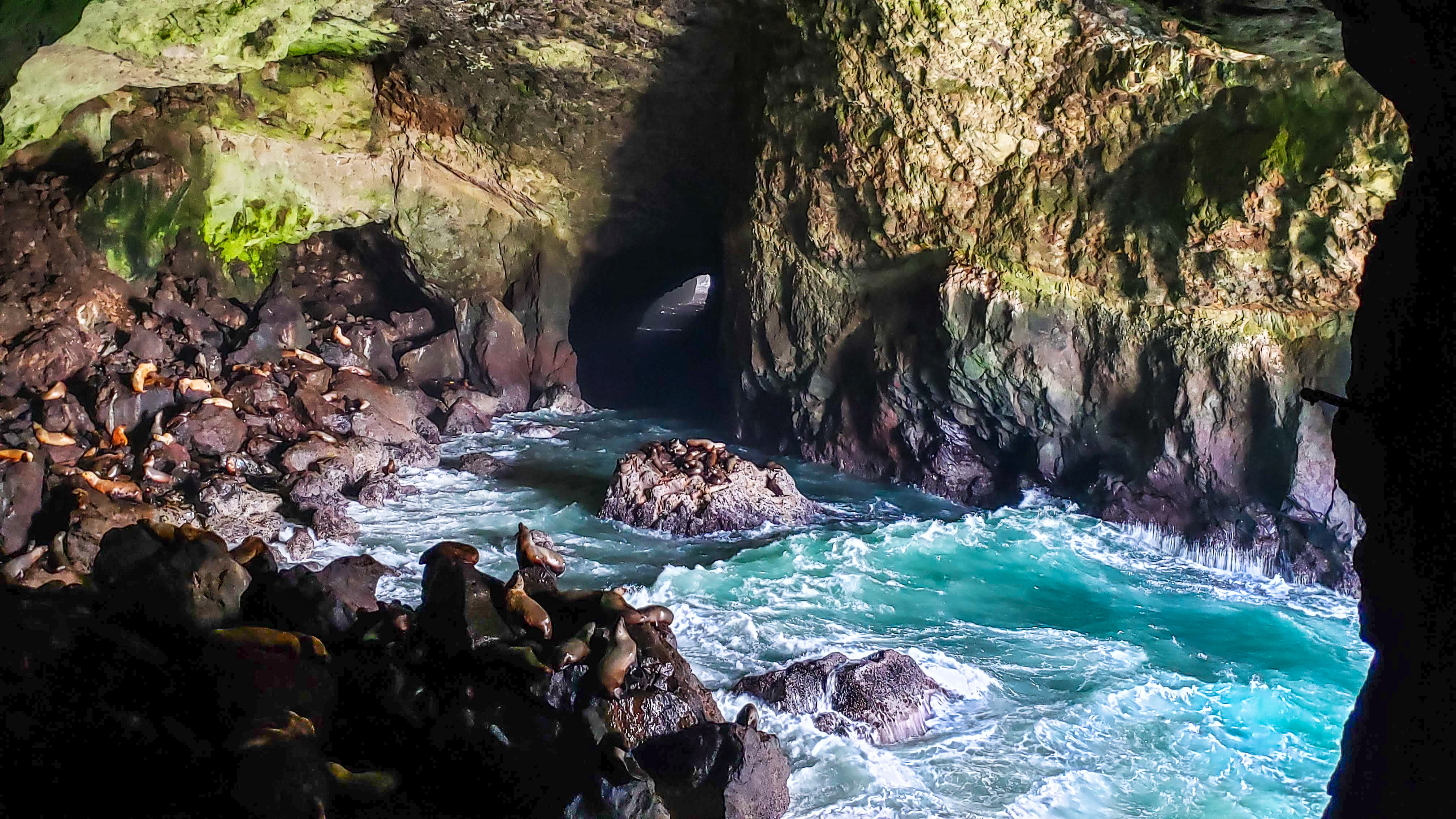 Sea Lion Caves