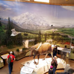 Denali National Park Visitors Center