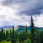 Boondocking | Near Denali National Park | Healy, Alaska