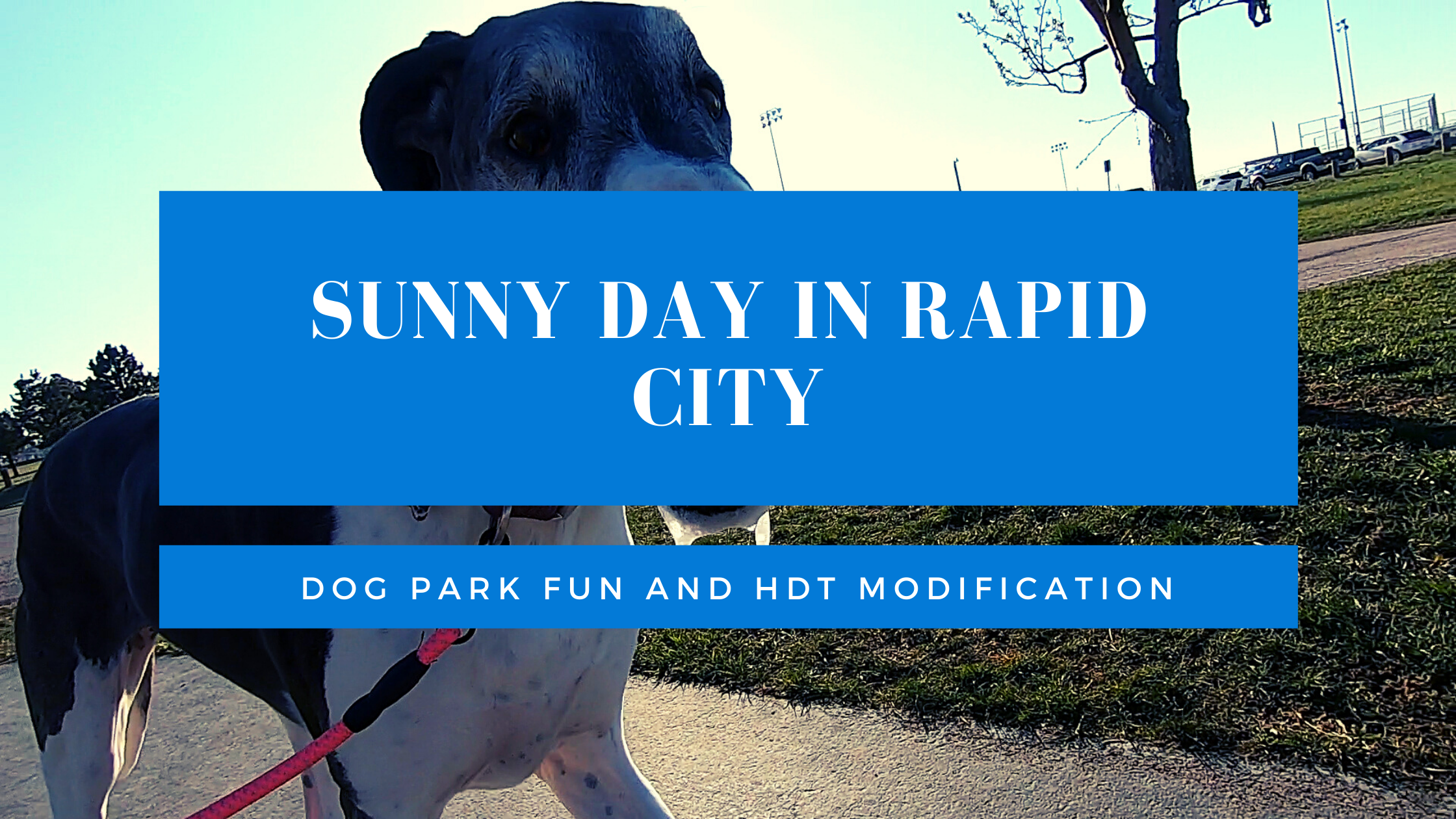 Sunny Day in Rapid City